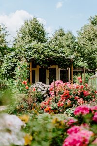 Greenkub : avis complets sur les studios de jardin – Ce que vous devez savoir avant de vous lancer