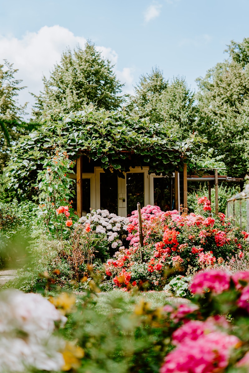 Greenkub : avis complets sur les studios de jardin – Ce que vous devez savoir avant de vous lancer