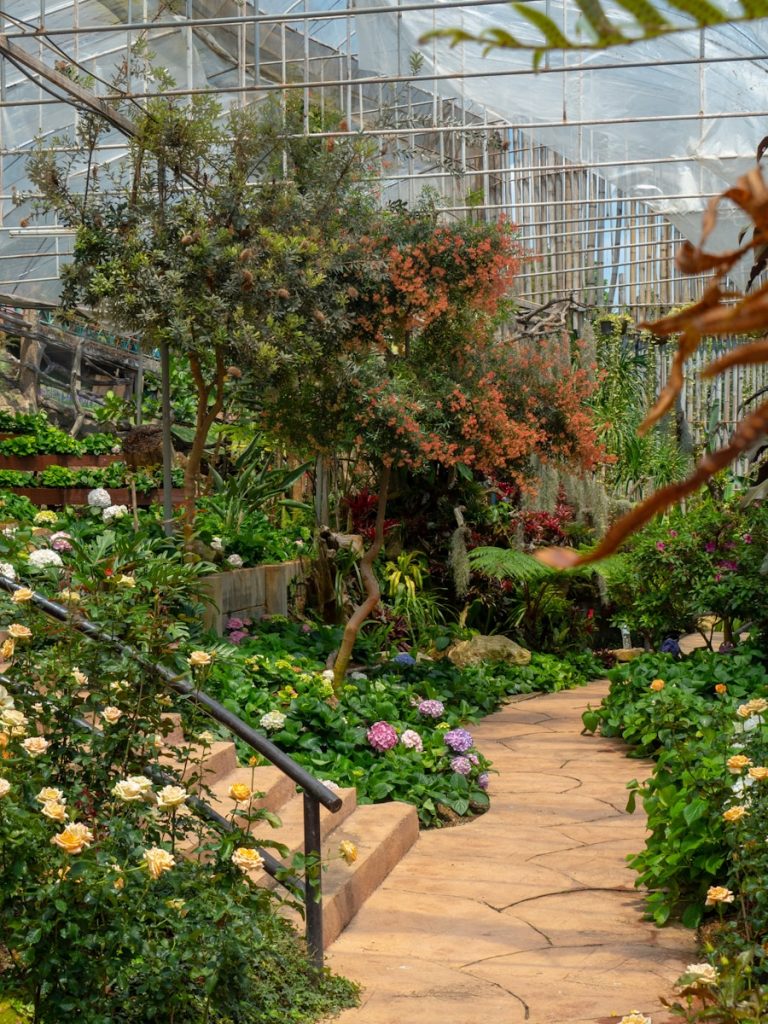 Taille du laurier-rose : le guide complet pour une floraison éclatante